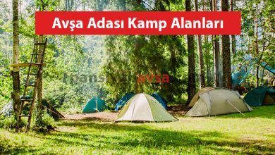 Avşa Adası Kamp Alanları