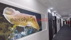 Grand Avşa Otel