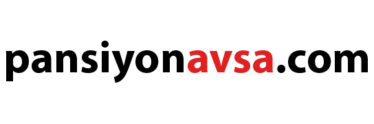 Pansiyonavsa.com