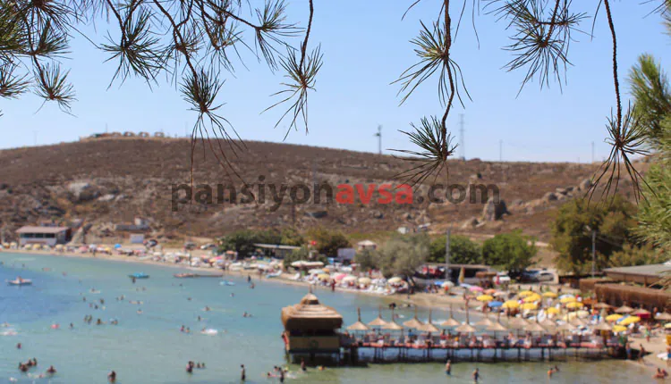 Avşa Adası Altınkum Koyu Kamp Alanı
