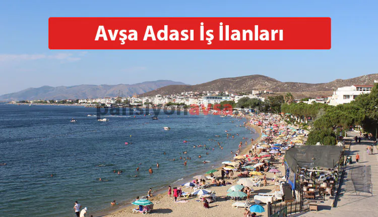 Avşa Adası İş İlanları