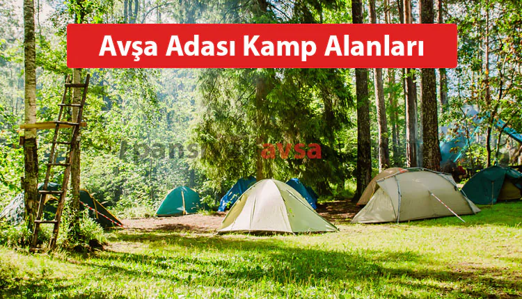 Avşa Adası Kamp Alanları